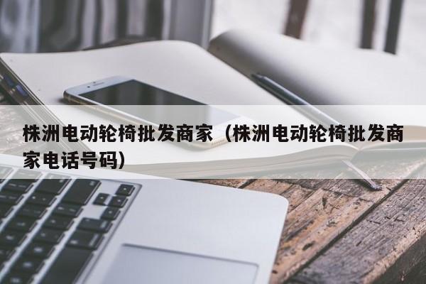 株洲电动轮椅批发商家（株洲电动轮椅批发商家电话号码）