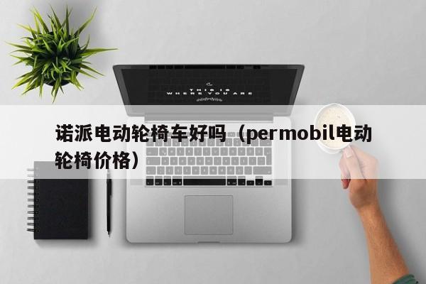 诺派电动轮椅车好吗（permobil电动轮椅价格）